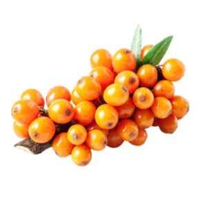 Sea buckthorn fruit extract + vitamin E