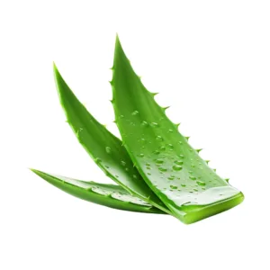Aloe vera juice