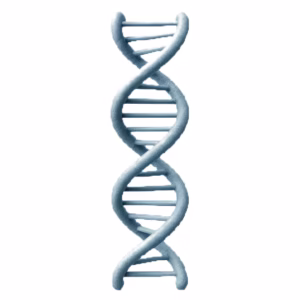 15 amino acids + proteins